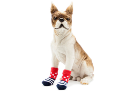 Pet Socks Featured Image
