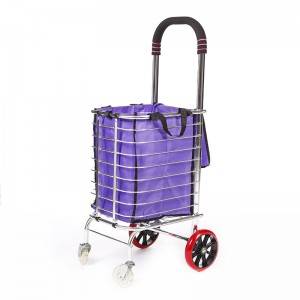 DuoDuo Shopping Cart DG1006 with Wheels and Removable Basket