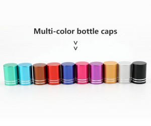 New Design Luxury 8ml/10ml Roll-on Oil Perfume Bottle