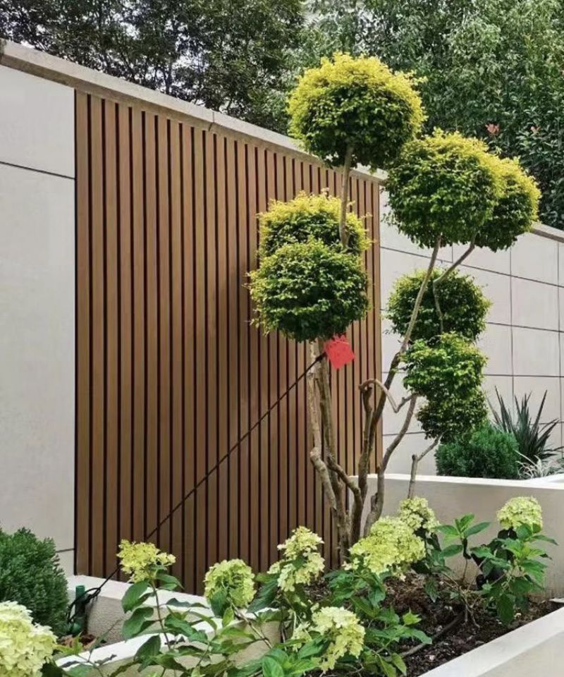 co-extruded wood-plastic wall panels