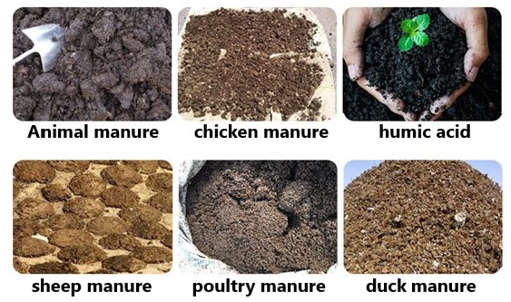 Use livestock waste to produce biological organic fertilizer