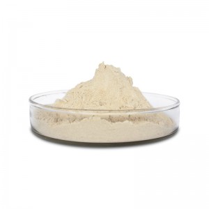 Lipase fatty hydrolase food grade enzyme preparation