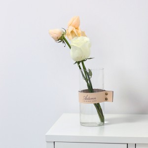 Amazon Wholesale Čínské kreativní kožené skleněné květinové zboží velká severská jednoduchá průhledná skleněná váza