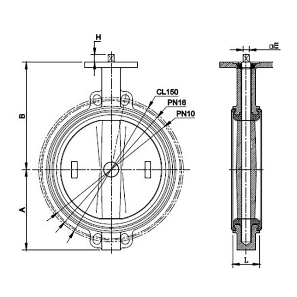 Concentric Butterfly Valve (1)