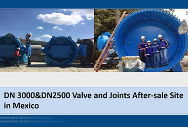 DN 3000&DN2500 Valve and Joints After-sale Site in Mexico