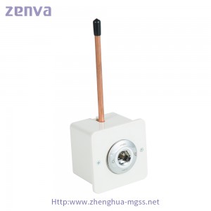 Factory wholesale Hospital Oxygen Outlet - Cheap Metal Oxygen Gas outlet with Box – Zhenghua