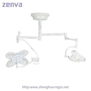 Double Dome LED Surgical Light For Operation Vet Dental Use
