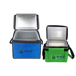 Professional China China Custom Logo Light Durable Backpack Food Delivery Bag Cooler Box