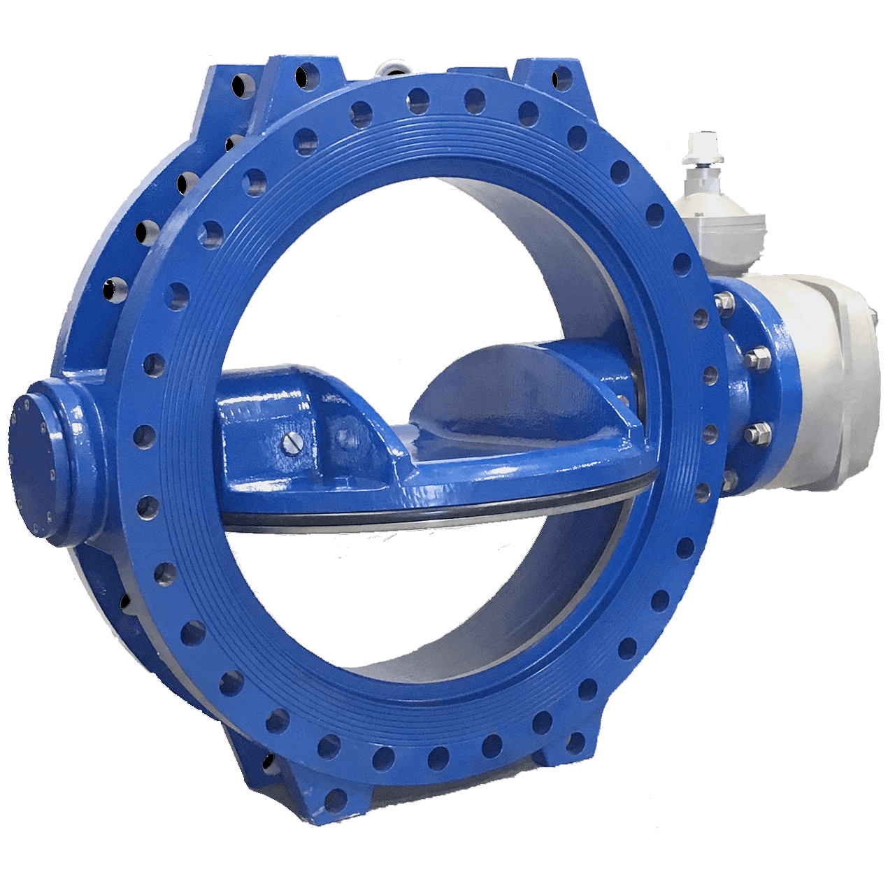 AWWA C504 Double Eccentric Butterfly Valve (2)