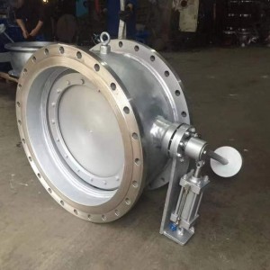 Butterfly Check Valve with Heavy Hammer