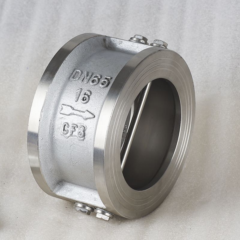 SS2205 Dual Plate Check Valve Featured Image
