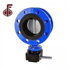 Factory Price For Semi Lug Butterfly Valve - Ductile Iron Body Worm Gear Flange Type Butterfly Valve – Zhongfa
