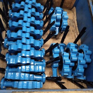 Ductile Iron SS304 Disc Lug Type Butterfly Valves
