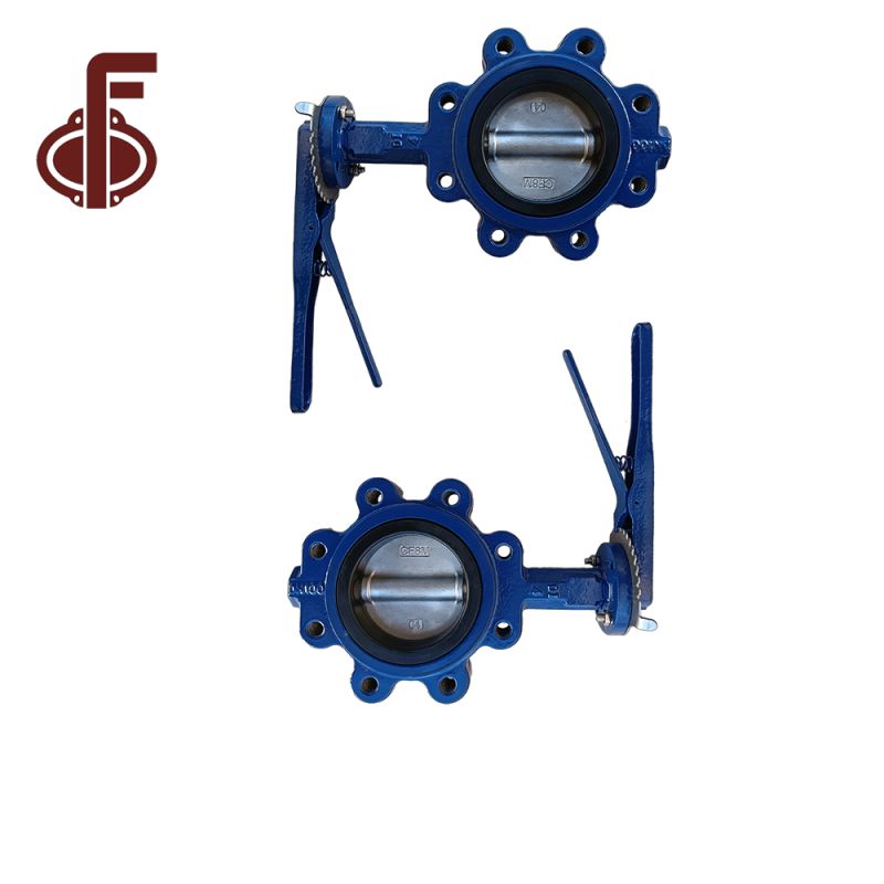 OEM Factory For Resilient Seated Butterfly Valve - Ductile Iron SS304 Disc Lug Type Butterfly Valves – Zhongfa