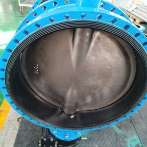 Professional Factory for Flange Type Expansion Butterfly Valve Factory Price