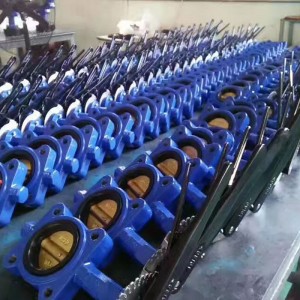 Lug Type Butterfly Valve with Body