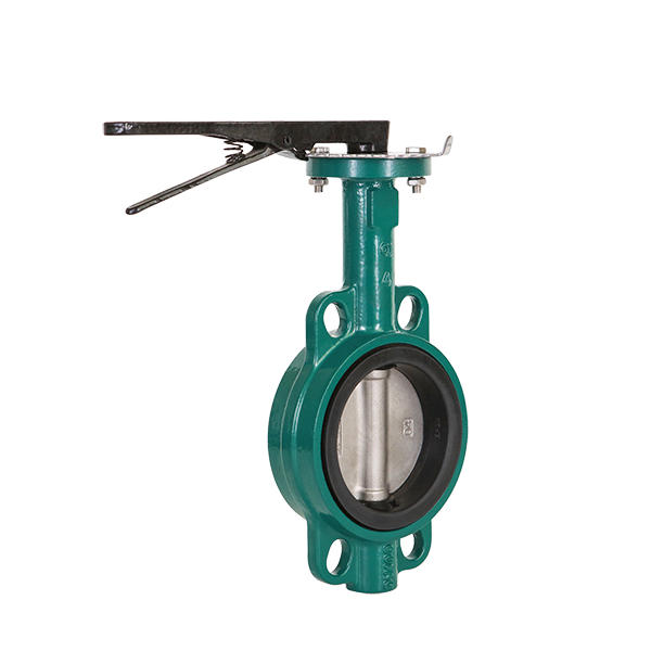 casting iron butterfly valve seo2