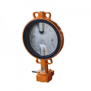 Worm Gear Operated CF8 Disc Double Stem Wafer Butterfly Valve