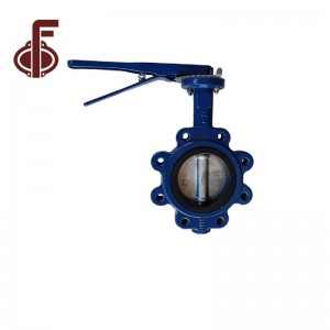 Lug Type Butterfly Valve with Body