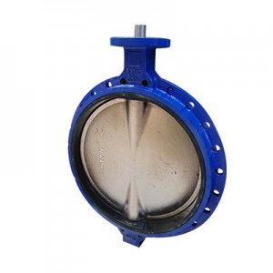 DN800 DI Single Flange Type Wafer Butterfly Valve