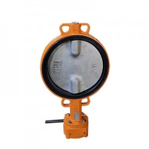 Worm Gear Operated CF8 Disc Double Stem Wafer Butterfly Valve