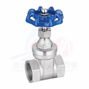 OEM/ODM Factory China Stainless Steel Threaded End Gate Valve