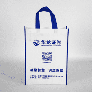 Custom logo Printing PP Laminated Shopping Non Woven Bag