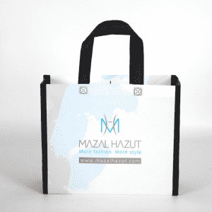 Wholesale Custom Foldable Shopping Recycle PP Non Woven Bag