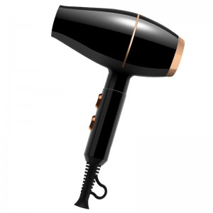 Negative Ion Fast Drying Professional Blow Hair Dryer