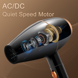 Negative Ion Fast Drying Low Wattage Blow Hair Dryer