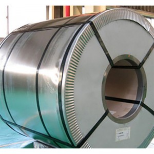 Competitive Price for Stainless Steel Coil 304,304L,316L,309S,310S,321,321H,314,2205,2507,600,631,800h,825,901,903,904L,1.4529,317,347H,348h,253mA,254smo,25-6MOS Alloy Galvanized