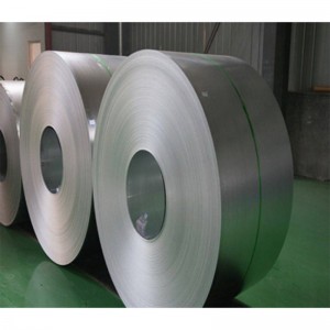 Competitive Price for Stainless Steel Coil 304,304L,316L,309S,310S,321,321H,314,2205,2507,600,631,800h,825,901,903,904L,1.4529,317,347H,348h,253mA,254smo,25-6MOS Alloy Galvanized