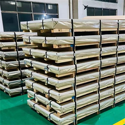 Stainless Steel Plate (19)