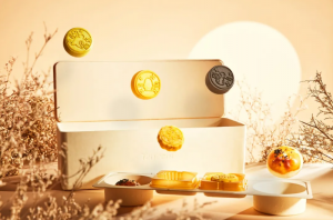 Eco Molded Pulp Moon cake packaging box