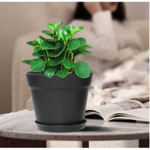 Plastic Flower Pots Are Light weight and Durable