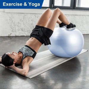 BlUE Exercise and Workout Ball, Yoga Ball Chair, Great for Fitness, Balance and Stability Extra-Thick with Quick Pump