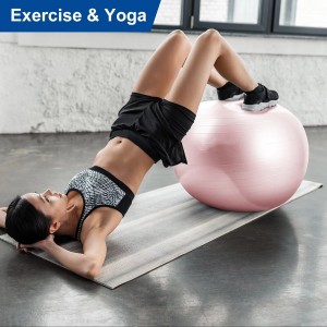 PINK Exercise and Workout Ball, Yoga Ball Chair, Great for Fitness, Balance and Stability Extra-Thick with Quick Pump