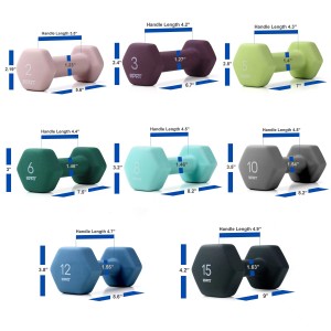 Popular Neoprene Dumbbells Gym Weights for Exercise