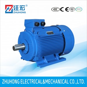 IE2 Series High Efficiency Three Phase Motor with Cast Iron Body