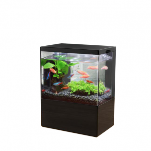 Acrylic fish tank with LED on top for Office use