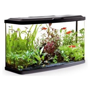 High Clear Acrylic Fish Tank For Decoration