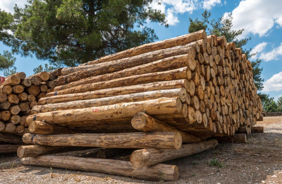 Global timber prices have skyrocketed, exporting furniture companies benefited more