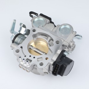 OEM High quality Throttle body OE 12593591 Manufacturer –  PW550483 ACN46307 Throttle Body for PROTON – Hongke