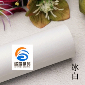 Best-Selling Waterproof Adhesive - Inkjet 260g Glossy Ice White Paper – Shawei
