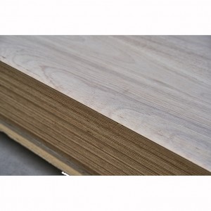 BS1088 okoume marin plywood WBP lakòl