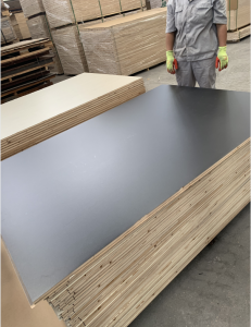 HPL Laminated block board Plywood