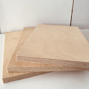 UV varnished Birch Plywood