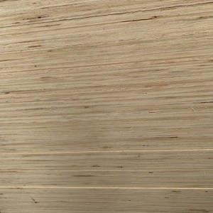 Laminated Veneer Lumber (LVL)
