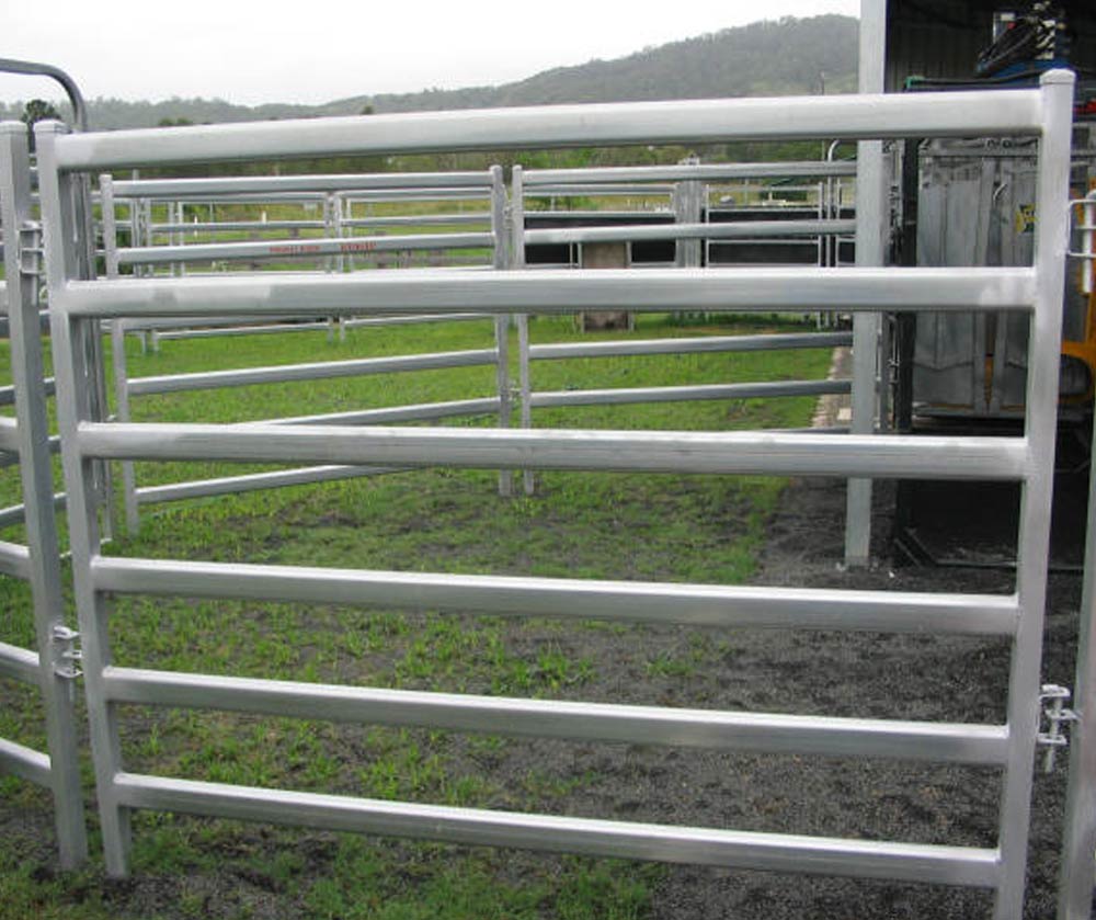 cattle panels1