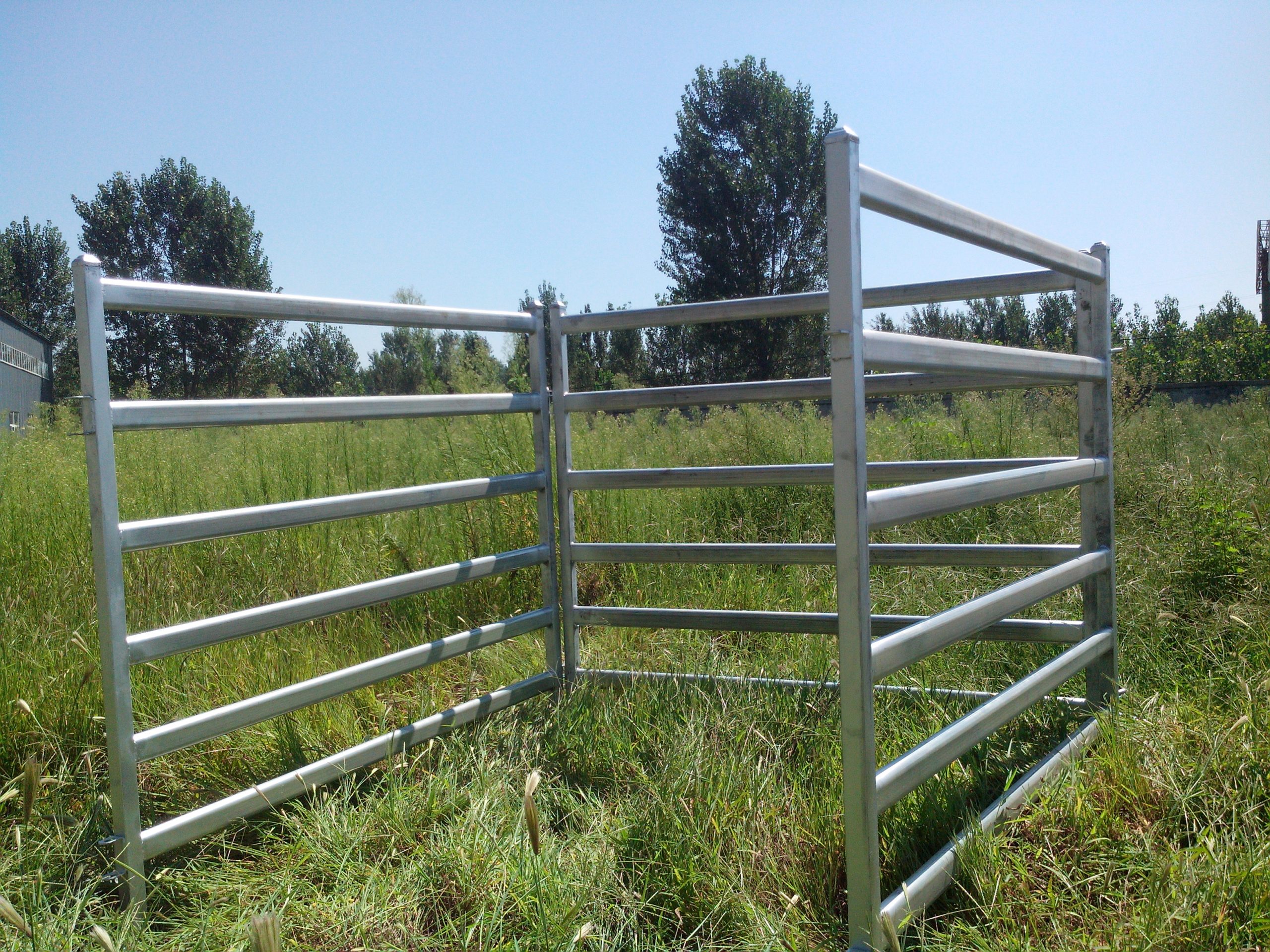 cattle panels